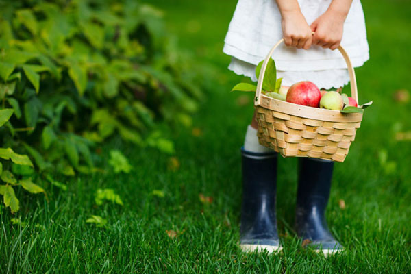 girl wearing rainboots holding a basket of apples outside
