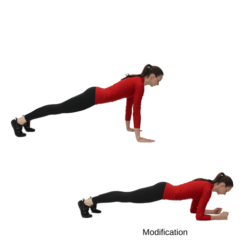 showing the plank hold, which is a bodyweight exercise