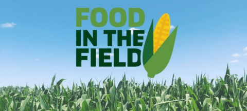 food in the field logo in the sky with a corn field below